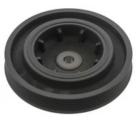 Puleggia albero motore 60 94 8698 SWAG per OPEL RENAULT
