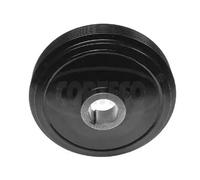 Puleggia albero motore 80000709 CORTECO per PEUGEOT CITROËN