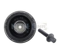 SNR DPF350.01K1 Puleggia cinghia, Albero a gomiti per BMW