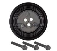 SNR DPF352.10K1 Puleggia cinghia albero a gomiti