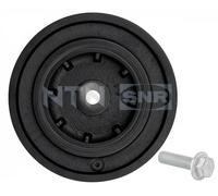 SNR DPF355.22K1 Puleggia cinghia albero a gomiti