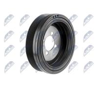 Puleggia albero motore RKP-BM-020 NTY per BMW 3 X3 3 Touring 1 3 Coupé 5 1 Coupé
