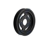 NTY RKP-DW-002 Puleggia cinghia albero a gomiti