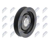 Puleggia albero motore RKP-FR-005 NTY per FORD LAND ROVER