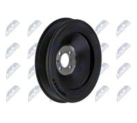Puleggia albero motore RKP-FT-013 NTY