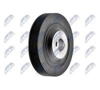 Puleggia albero motore RKP-RE-005 NTY per RENAULT MEGANE I Coach KANGOO CLIO II