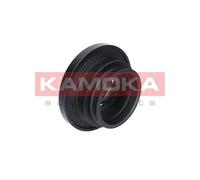 KAMOKA RW013 Puleggia cinghia, Albero a gomiti per BMW,OPEL