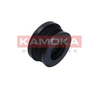 Puleggia albero motore RW014 KAMOKA per BMW OPEL LAND ROVER