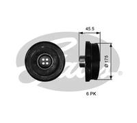 Gates Puleggia albero motore TVD1136 per BMW 1, 3, 3 Touring, 3 Cabriolet, X3, X1, 5