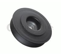 Puleggia albero motore VD1104 CONTINENTAL CTAM per RENAULT NISSAN