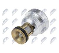 Puleggia alternatore ENK-AU-004 NTY per AUDI VW SKODA