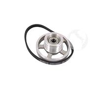 Puleggia + Cinghia 4PHE285 di trasmissione (ORIGINALE Beko) per asciugatrice codice: 492204404