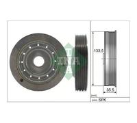 Puleggia albero motore con antivibrante 544 0091 10 INA per RENAULT KANGOO