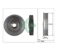 INA Puleggia cinghia albero a gomiti