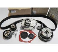 PULEGGIA DEFASATORE E KIT DISTRIBUZIONE E POMPA ACQUA RENAULT MEGANE III 2.0 ...