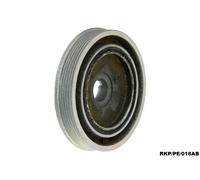 Puleggia Del Albero A Gomito Per PEUGEOT 4007 2.2 HDi 2007-2013 RKP/PE/018AB