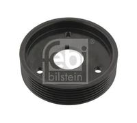 Puleggia della pompa servosterzo 29501 FEBI BILSTEIN per RENAULT CLIO II KANGOO
