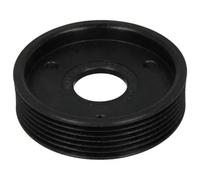 Puleggia della pompa servosterzo E2R0002BTA BTA per RENAULT CLIO II KANGOO