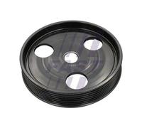 FAST FT45801 Puleggia, Servopompa