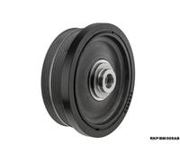 Puleggia Dell'Albero Motore Per BMW X3 E83 2.0 D 2005-2010 RKP/BM/005AB