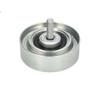 Puleggia di deviazione/guida, cinghia Poly-V DAYCO APV1103 per ATEGO 4.249 1998-