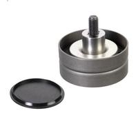Puleggia di deviazione/guida, cinghia Poly-V FEBI 173072 per XF 95 12.58 2002-
