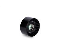 Puleggia di deviazione/guida, cinghia Poly-V INA 532 0364 20 DUSTER 2 2011-2018