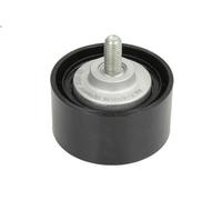 INA Galoppino guidacinghia 532 0556 10 - Cinghia Poly-V per BMW 3 E90/E91, 1 E87, X1/X3, 5 F11