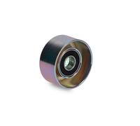 Puleggia di deviazione/guida, cinghia Poly-V INA 532 0590 10 EVORA 3.5 2009-2016