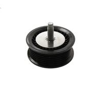 Puleggia di deviazione/guida, cinghia Poly-V INA 532 0700 10 9-5 (YS3G) 2 2010-