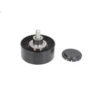 INA Galoppino guidacinghia 532 0751 10 – Cinghia Poly-V per BMW