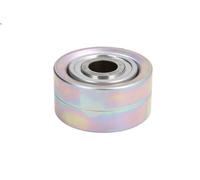 INA Galoppino guidacinghia 532 0787 10 Puleggia guida cinghia Poly-V per ANTOS 10.677 2012-2018