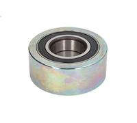 Puleggia di deviazione/guida, cinghia Poly-V SKF per KERAX 11.123 2001-