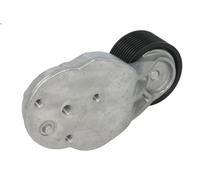 Puleggia di deviazione/guida, cinghia Poly-V SKF VKMCV 53010 per C 7.698 2013-