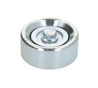 Puleggia di rinvio/guida, cinghia trapezoidale BTA E20516BTA