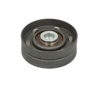 Puleggia di rinvio/guida, cinghia trapezoidale BTA E2B0030BTA