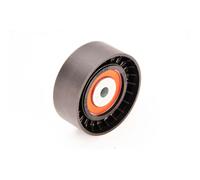 BTA Rullo tendicinghia E2K6129BTA - Galoppino guida cinghia Poly-V per Land Rover Freelander I