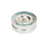 Puleggia di rinvio/guida, cinghia trapezoidale BTA E2W0066BTA