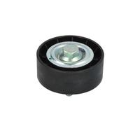 Puleggia di rinvio/guida, cinghia trapezoidale DAYCO APV1059