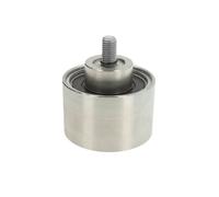 Puleggia di rinvio/guida, cinghia trapezoidale DAYCO APV3195