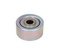 Puleggia di rinvio/guida, cinghia trapezoidale DAYCO APV4043