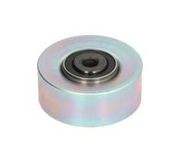 Schaeffler INA 532 0214 10 Galoppino/Guidacinghia, Cinghia Poly-V per CITROËN,PE
