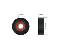 NTY RNK-CH-043 Rullo tenditore cinghia Poly-V