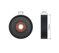 NTY Rullo tenditore cinghia Poly-V RNK-KA-015 plastica compatibile con KIA CARNIVAL II