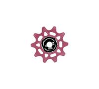 Puleggia per Deragliatore in Lega di Alluminio CNC - 10T 12T 14T 16T Rotelline Cambio per MTB e Bici da Corsa(10T-Pink)