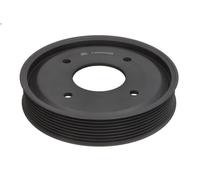DT Spare Parts 4.63039 Puleggia, Pompa acqua