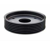 Puleggia Pompa Servosterzo per Clio 2 Avantime Spazio 3 e 4 Kangoo Laguna 2 Master 2 Megane 2 Scenic 2 Thalia Trafic 2 Velsatis Movano Vivaro 7700109328 8201088951 109328