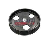 FAST FT45801 Puleggia, Servopompa