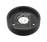 Puleggia, Servopompa per RENAULT CLIO KANGOO THALIA