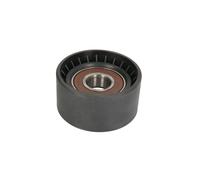 Puleggia tendicinghia, cinghia a V BTA B05-02-039